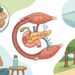 Cómo bajar el azúcar en sangre de forma natural: 7 hábitos que ayudan a tener más energía y cuidar la salud