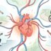Esta es la cantidad ideal de actividad física por semana para cuidar el corazón
