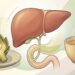 Ilustración anatómica de un hígado humano sano junto a una alcachofa cortada por la mitad y una taza de té humeante.
