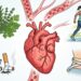 4 reglas simples para un corazón saludable
