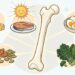 La ciencia identifica cinco nutrientes esenciales para mantener los huesos fuertes después de los 50 años