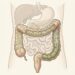 La razón por la que la fibra ayuda al intestino y cómo consumirla correctamente