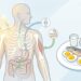 Vitamina D: para qué sirve, sus beneficios y la cantidad necesaria por día