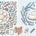 Yogur natural o kéfir: ¿cuál es la mejor opción para ti?