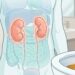 Una infografía detallada en cuadrícula de 2x2 que ilustra cuatro síntomas de daño renal notables al orinar: orina espumosa (con un inodoro con burbujas), cambios de color de la orina (muestras oscuras, marrones y rosadas), mayor frecuencia (con un reloj de arena y una persona orinando de noche) y dolor al orinar (con iconos de dolor y una persona con expresión dolorida). Una vista general del cuerpo con riñones brillantes sirve como contexto central.