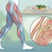 Actividad física y azúcar en sangre: lo que la ciencia ha observado sobre caminar después de comer
