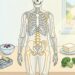 Qué hacer para cuidar los huesos: tres consejos simples para mantenerlos saludables