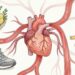 Tres hábitos caseros que ayudan a cuidar el corazón de forma saludable