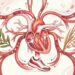 5 estrategias basadas en la ciencia para cuidar la salud del corazón