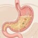 Para mejorar la digestión, una de las claves es masticar más despacio