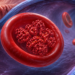 Glóbulo rojo ampliado dentro de un vaso sanguíneo con moléculas de hemoglobina en su interior y partículas de hierro que pasan desde el intestino hacia la sangre.