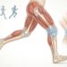 El impacto de correr en las rodillas: cuándo genera molestias y cómo prevenirlas