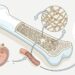 Qué comer para ayudar a reducir el riesgo de osteoporosis