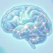 ¿Qué alimentos ayudan a cuidar la salud del cerebro?
