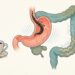 Cómo el café afecta la salud digestiva