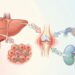 Paracetamol o antiinflamatorios: en qué se diferencian y por qué conviene consultar antes de usarlos