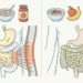 4 alimentos sorprendentemente ricos en azúcar