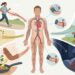 ¿Cómo mejorar la salud del corazón? Hábitos simples para incluir en la rutina