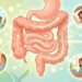 Cinco vegetales ricos en fibra ayudan a mejorar la saciedad, el tránsito y la microbiota
