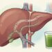 Hay que tener cautela con el concepto de "detox", porque más que dietas o productos, lo que limpia el cuerpo son los propios órganos