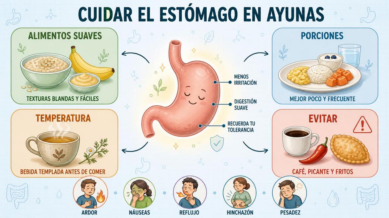 Alimentos suaves, porciones pequeñas y menos irritantes favorecen una mejor digestión.