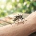 Fiebre repentina y dolor articular intenso son señales características del chikungunya.