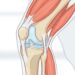 3 hábitos simples que ayudan a cuidar las articulaciones