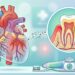 Cuidar las encías ayuda a controlar la inflamación y forma parte de la prevención de salud general.