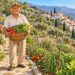 Un mayor cuida su huerto: alimentación vegetal y movimiento diario, claves de las zonas azules.