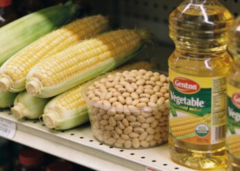 Procure este símbolo amarelo no rótulo antes de comprar qualquer produto industrializado