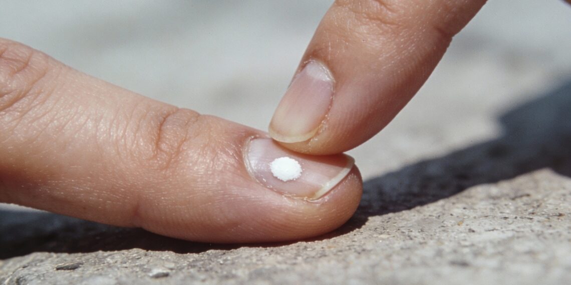 Roer a unha e manicure agressiva causam microtraumas que viram manchas brancas