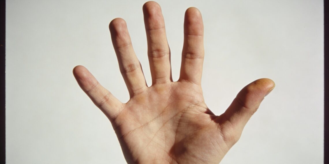 Cada dedo da sua mão tem um nome e uma função específica que você provavelmente não conhece