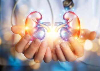 Nova descoberta científica pode revelar medicamento capaz de proteger os rins contra o envelhecimento silencioso