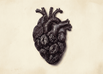 O consumo diário de ameixas secas está associado a uma melhor saúde cardiovascular