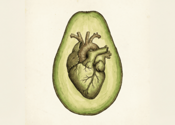 O alimento com o dobro de potássio da banana que protege a saúde do coração