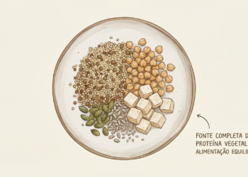 Estudos confirmam que proteínas vegetais são tão eficazes quanto animais para força e desempenho