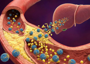 Segundo a ciência colesterol HDL alto reduz risco cardíaco