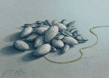 O ouro da juventude: a vitamina que elimina a papada e retarda o envelhecimento