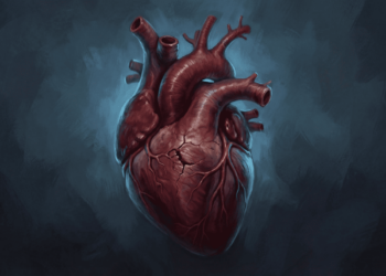 Como o corpo reage quando a pressão está alta?