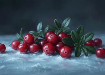 A melhor fruta para limpar e purificar os rins naturalmente