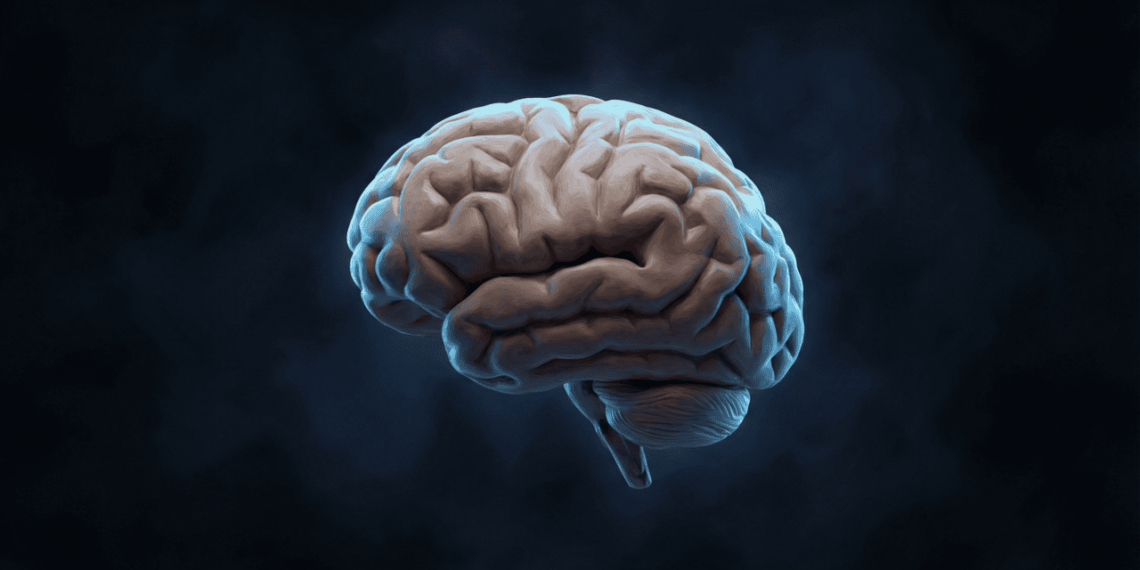 Vitaminas essenciais para melhorar a memória e a concentração