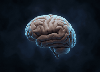 Vitaminas essenciais para melhorar a memória e a concentração