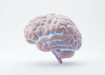 Cientistas investigam proteína que ajuda a reconstruir conexões cerebrais