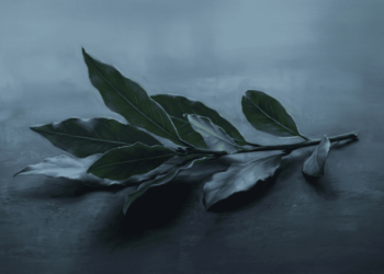 Tempero popular no feijão que diminui gases e ajuda na digestão