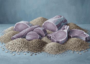 Qual é a vitamina que mantém o coração saudável e fornece energia ao corpo?