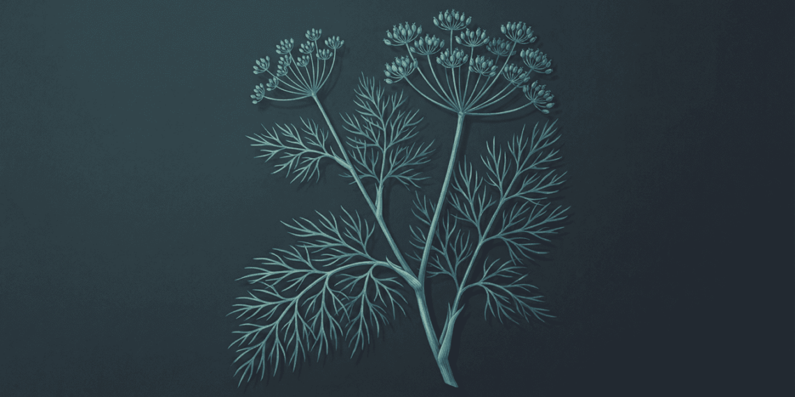 A planta que acalma a ansiedade e ajuda você a dormir bem: esses são todos os benefícios comprovados