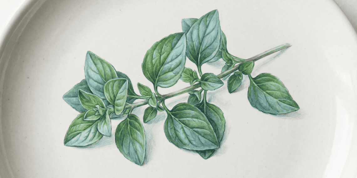 Artrose: erva rica em potássio e colágeno pode aliviar a dor e melhorar a saúde das articulações