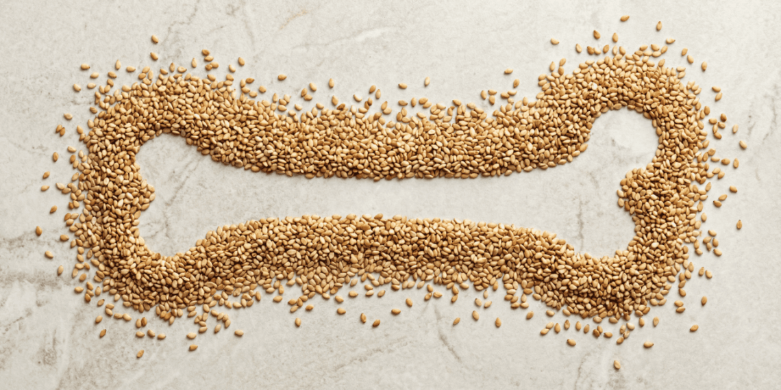 Sementes que fornecem mais cálcio: como elas ajudam a prevenir a osteoporose e a cuidar da sua saúde em geral