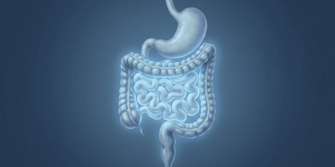 Qual é a proteína essencial para um intestino saudável, segundo especialistas em gastroenterologia?