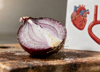Antioxidantes da cebola protegem as artérias, reduzem inflamação e fortalecem o sistema cardiovascular